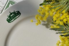 8B97767B-7330-481C-AC83-CCA15AE53805